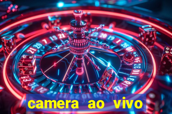 camera ao vivo beto carrero