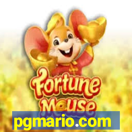 pgmario.com