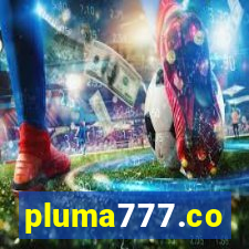 pluma777.co