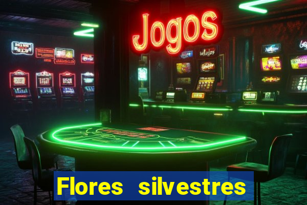 Flores silvestres brasileiras brasileiras flores silvestres nomes e imagens