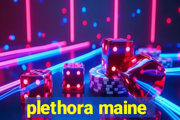 plethora maine