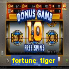 fortune tiger cassino pix