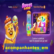 acompanhantes em nova mutum