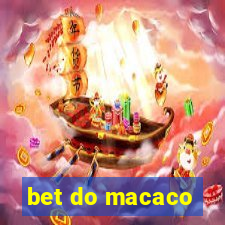 bet do macaco