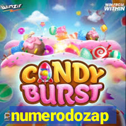 numerodozap